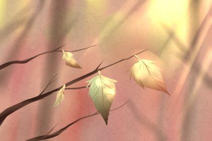 测你的另一半会为了钱离开你吗