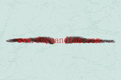 卧蚕眉好不好 卧蚕眉图片