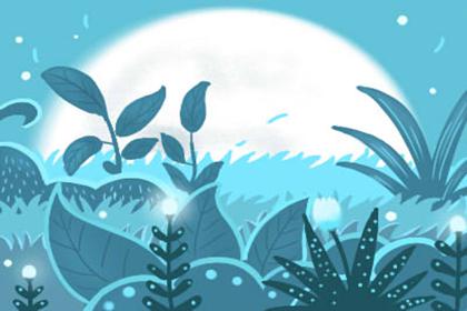 女的带什么东西最避邪(图文) 1