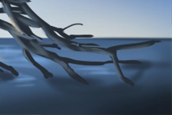 手相川字纹自尊心强