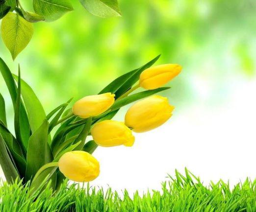 能给丈夫带来财运的生肖女,鸿福万千,年底前有望赚百万再不差钱