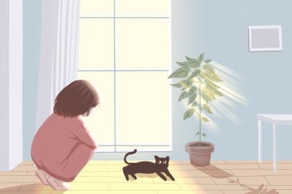 测你适合热情的还是冷静的伴侣 2