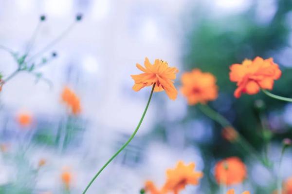明天起,大富大贵撞大运,3月喜上喜,4月运势红透半边天,生活美满三属相