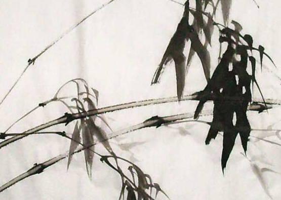 什么时候出生的人是木命人,这些年份出生就是木命