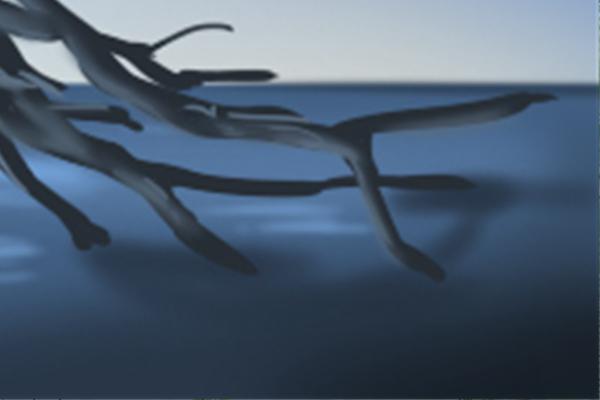 杨柳木是什么生肖