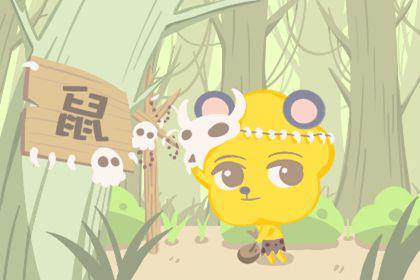 2020金鼠年运势 08年属鼠人运势 2