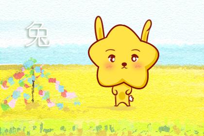 属兔的什么命 属兔的人命运怎么样