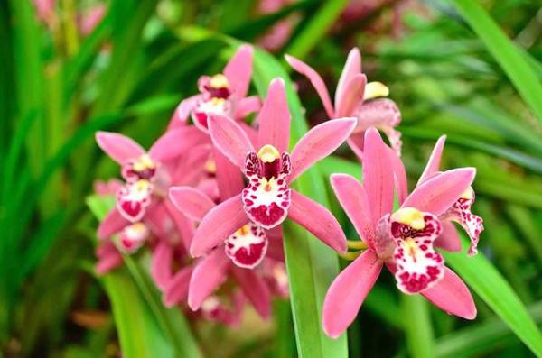 无论面对谁都能被对方欣赏的三大星座 1