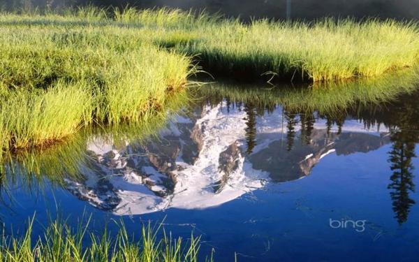 11月喜从天降,财运来袭的四大生肖,好运挡不住