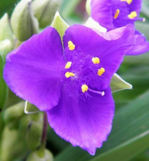 11月上旬鸿运当头,让人高攀不起的生肖,想不发达都难 3