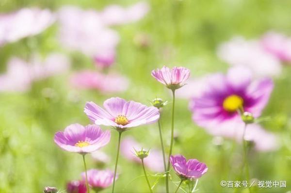 人身上的上等风水,原来是这个!千万别弄丢了 3