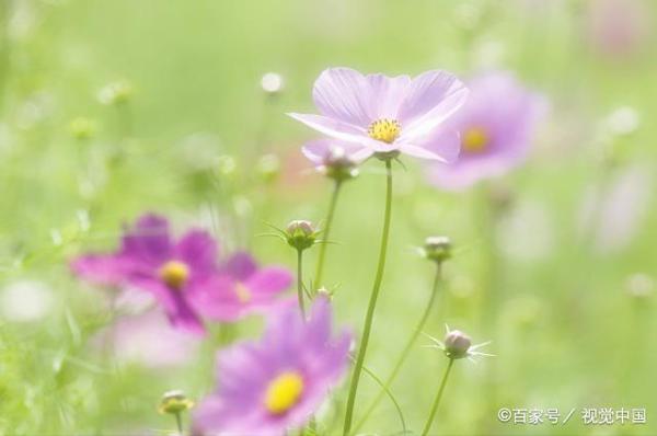人身上的上等风水,原来是这个!千万别弄丢了 2