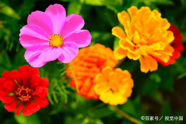 人身上的上等风水,原来是这个!千万别弄丢了 1