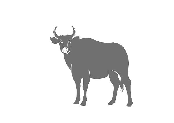 未来2个月好运连绵,事业运解冻,添丁纳福,喜气洋洋的生肖