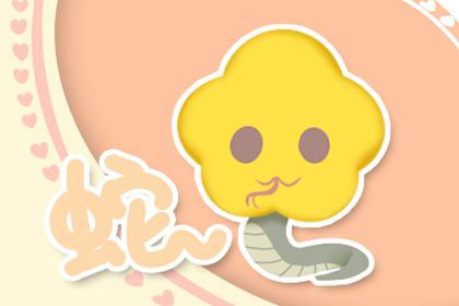 男属蛇女属兔相配吗 婚姻怎么样 1