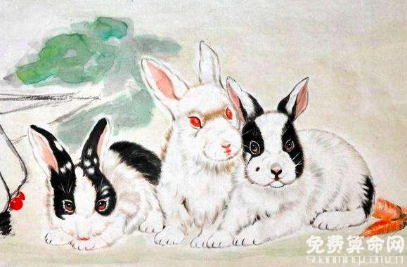 属兔和什么属相配比较好，与兔白头偕老的生肖有哪些 1