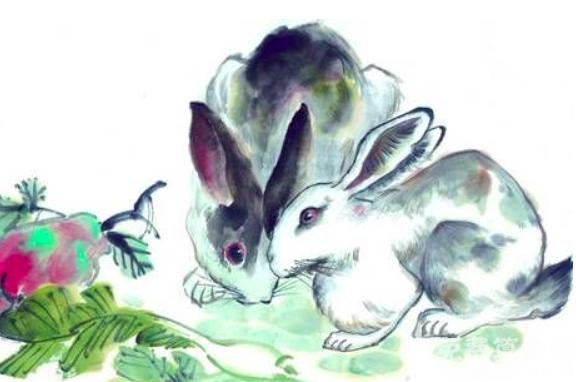 属兔和什么属相配比较好，与兔白头偕老的生肖有哪些