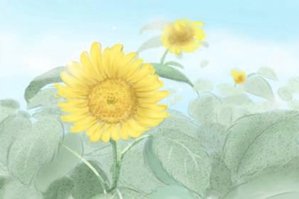 身体不好是什么卧室风水问题 卧室阴暗