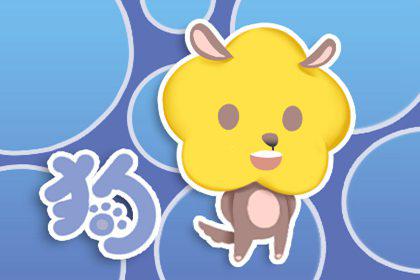 孙权属于哪个生肖 生肖属狗 1