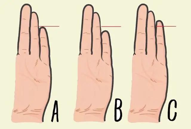 心理测试：小指和无名指的长度揭示了您的内在个性