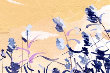 唐立奇的2016年射手座星座