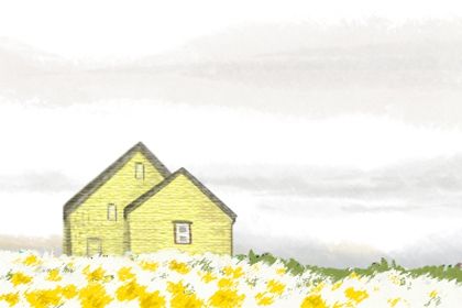 饮食文化 吃柿子干的好处_谁不应该吃