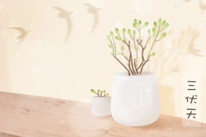 三福吃什么食物,最合适的食物 三福吃什么食物,最合适的食物