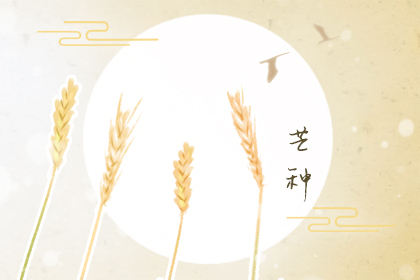 山竹节食期间吃什么食物？传统食物有哪些2