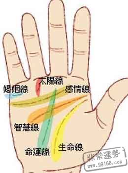 什么样的人有能力预测