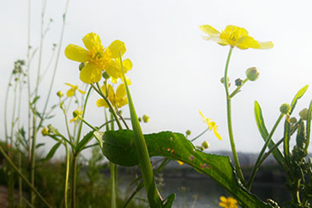 最喜欢在爱情中撒谎的明星