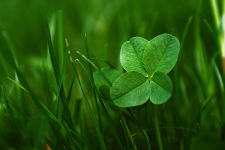 懂得如何照顾妻子的男人的四张脸
