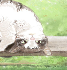 2013年狮子座女孩的幸运石