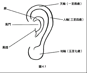 面相算命图解:面相耳朵 老神婆风水大师网