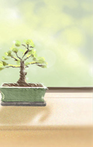 中华民国 哪个美是最美丽的?小编欣赏