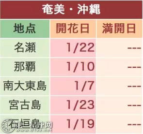 2018日本樱花预测在樱花开放时宣布宣布