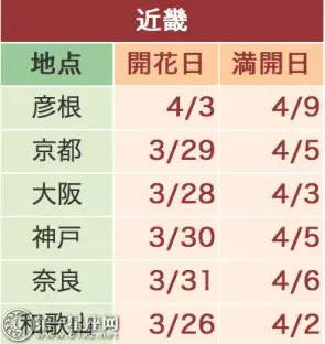 2018日本樱花预测宣布樱花打开4时