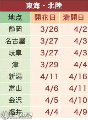 2018日本樱花预测樱花开放6时宣布