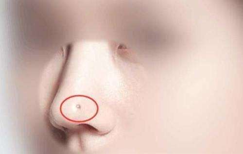 女人的鼻子是中心的中心