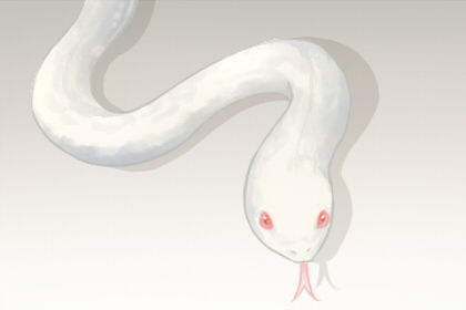 梦想着一条白蛇和花蛇预测它的意思