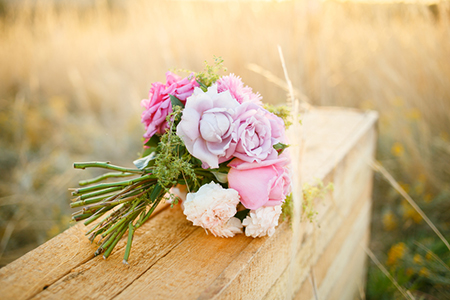 十二月的上帝跑十二生肖