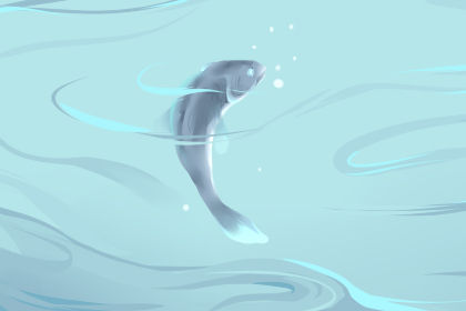 梦想着你可以看到大海的大鲸。