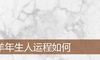 羊年生人运程如何