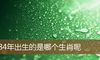 84年出生的是哪个生肖呢