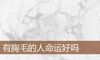 有胸毛的人命运好吗
