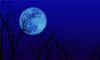 梦见月亮挂在树梢