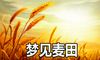 梦见麦田什么意思 有什么预兆