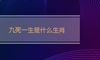 九死一生是什么生肖