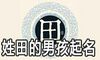 姓田的男孩起两个字名字