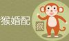 92男猴95女猪婚配好吗 如何化解生肖相害