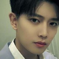 了解寿命相关的四个主要血液阶段的细节